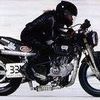 susanwilson489